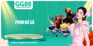 Phim Đá Gà - Sự Kết Hợp Giữa Truyền Thống Và Điện Ảnh 